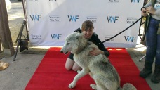 And a wolf. Yeah.
